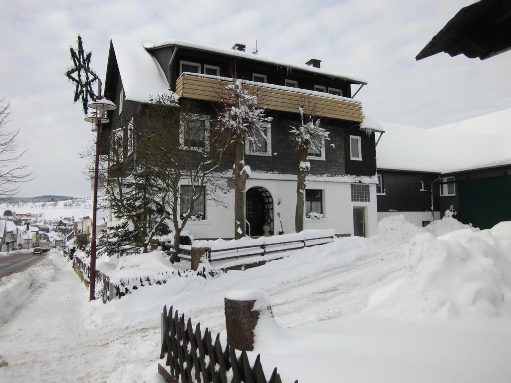 Dribischenhof Hotel Usseln Eksteriør billede